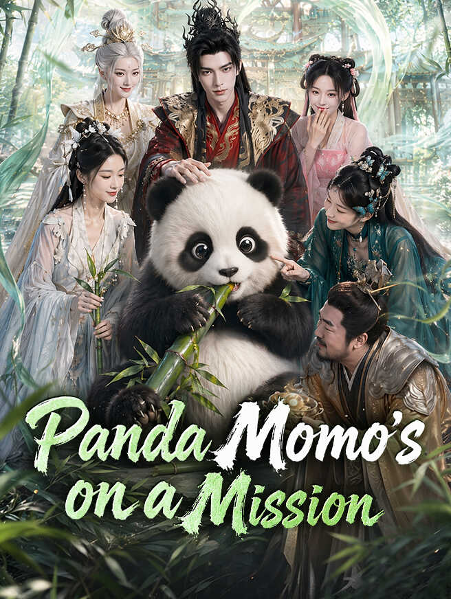 Panda Momo's on a Mission