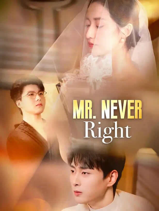 Mr. Never Right