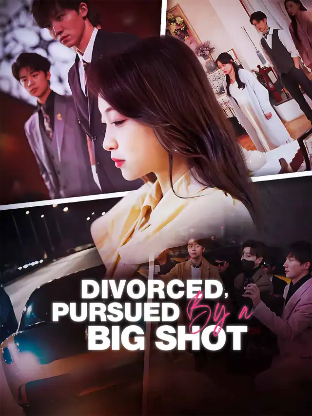 Divorced, Pursued by a Big Shot