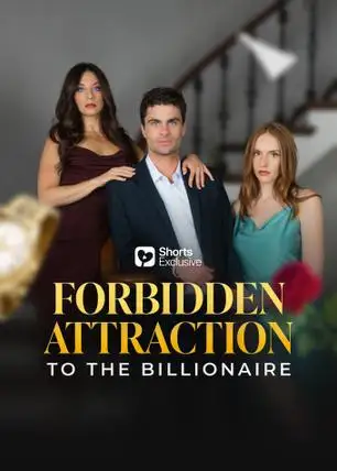 Forbidden Attraction to the Billionaire