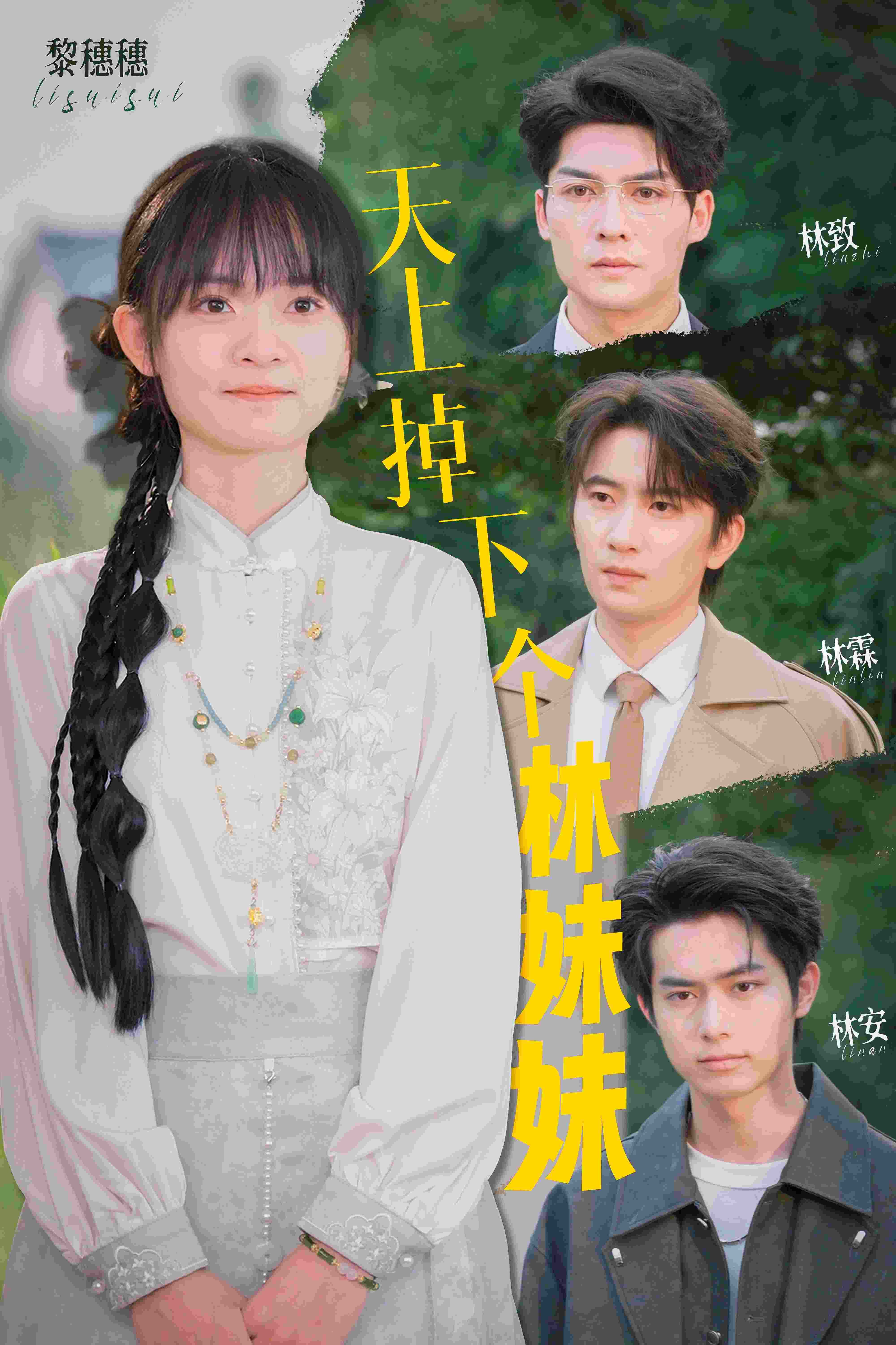 天上掉下个林妹妹
