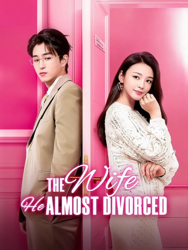 The Wife He Almost Divorced
